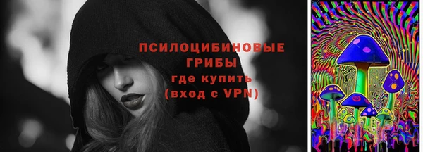 a pvp Арсеньев
