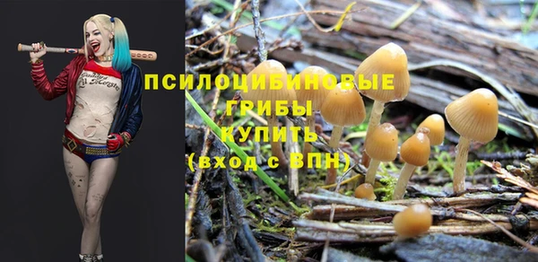 a pvp Арсеньев