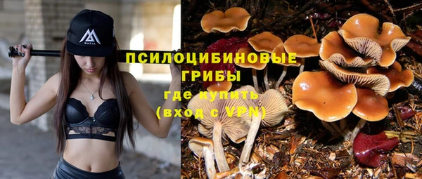 молекула духа Армянск