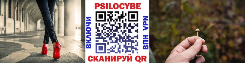 Псилоцибиновые грибы Psilocybine cubensis  Можга 
